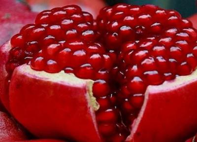 میوه ای که سرشار از فایده است