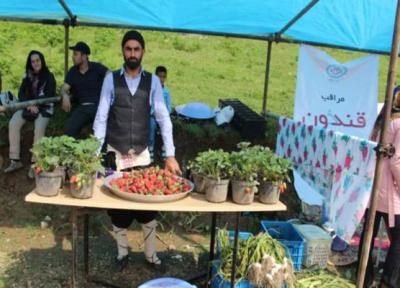 برگزاری ششمین دوره جشنواره توت فرنگی در روستای شفیع آباد فندرسک گلستان